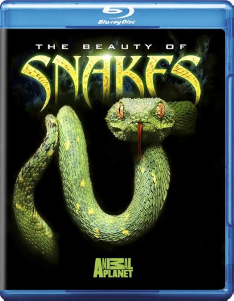 Amazon.com: The Beauty of Snakes [Blu-ray] : Aoife McMahon